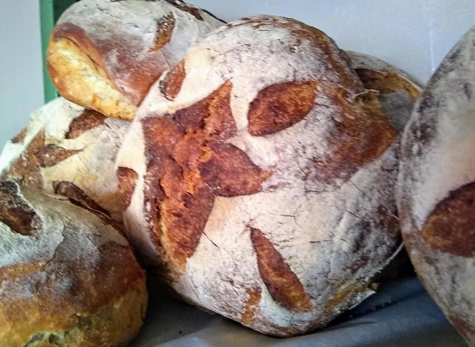 The Bear Bread Bakery B&B, Ensuite Rooms Above The Bakery, Colyton מראה חיצוני תמונה